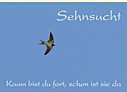 Sehnsucht